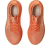 GEL-NIMBUS 27 LITE-SHOW