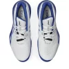 GEL-RESOLUTION X GEL-RESOLUTION X