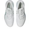 GEL-RESOLUTION X GEL-RESOLUTION X