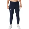 PANTALONI DE MECI PANTALONI DE MECI