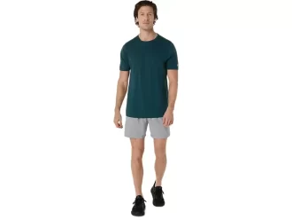 Pantaloni scurți bărbătești PR Lyte, 5 inch