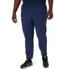 PANTALONI TECH 2.0 PENTRU BĂRBAȚI PANTALONI TECH 2.0 PENTRU BĂRBAȚI