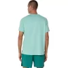 TRICOU ASICS ARGINTIU CU MÂNECĂ SCURTĂ
