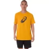 TRICOU CU MÂNECĂ SCURTĂ CU PENSULĂ TRICOU CU MÂNECĂ SCURTĂ CU PENSULĂ
