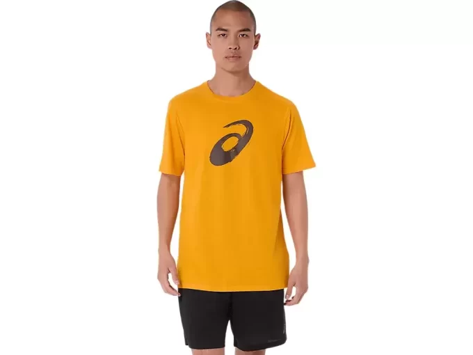 TRICOU CU MÂNECĂ SCURTĂ CU PENSULĂ TRICOU CU MÂNECĂ SCURTĂ CU PENSULĂ