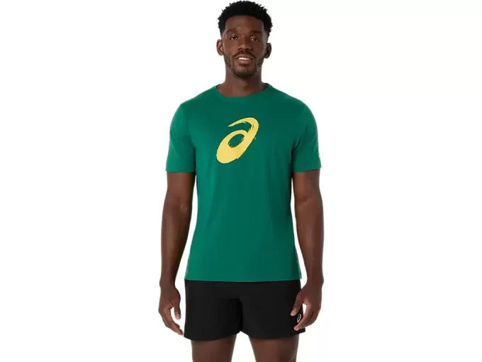 TRICOU CU MÂNECĂ SCURTĂ CU PENSULĂ TRICOU CU MÂNECĂ SCURTĂ CU PENSULĂ