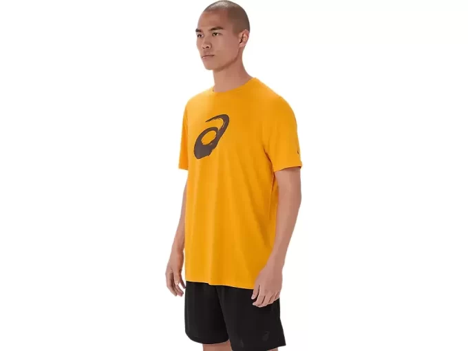 TRICOU CU MÂNECĂ SCURTĂ CU PENSULĂ TRICOU CU MÂNECĂ SCURTĂ CU PENSULĂ