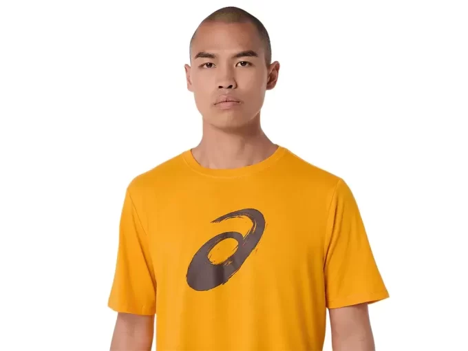 TRICOU CU MÂNECĂ SCURTĂ CU PENSULĂ TRICOU CU MÂNECĂ SCURTĂ CU PENSULĂ