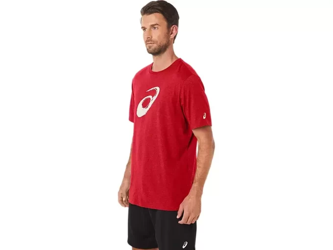 TRICOU CU MÂNECĂ SCURTĂ CU PENSULĂ TRICOU CU MÂNECĂ SCURTĂ CU PENSULĂ