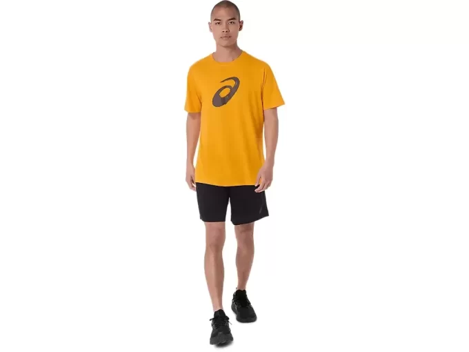 TRICOU CU MÂNECĂ SCURTĂ CU PENSULĂ TRICOU CU MÂNECĂ SCURTĂ CU PENSULĂ